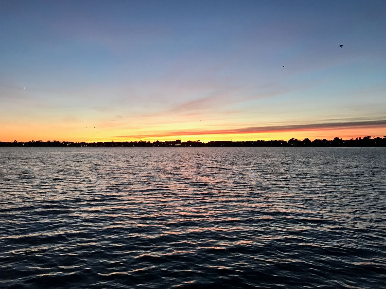 Swift Dark / ​Light mode