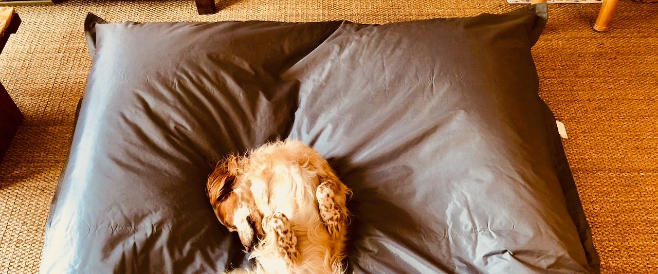 Rancher 2: Node & Vue on Kubernetes, Docker self-hosted CaaS