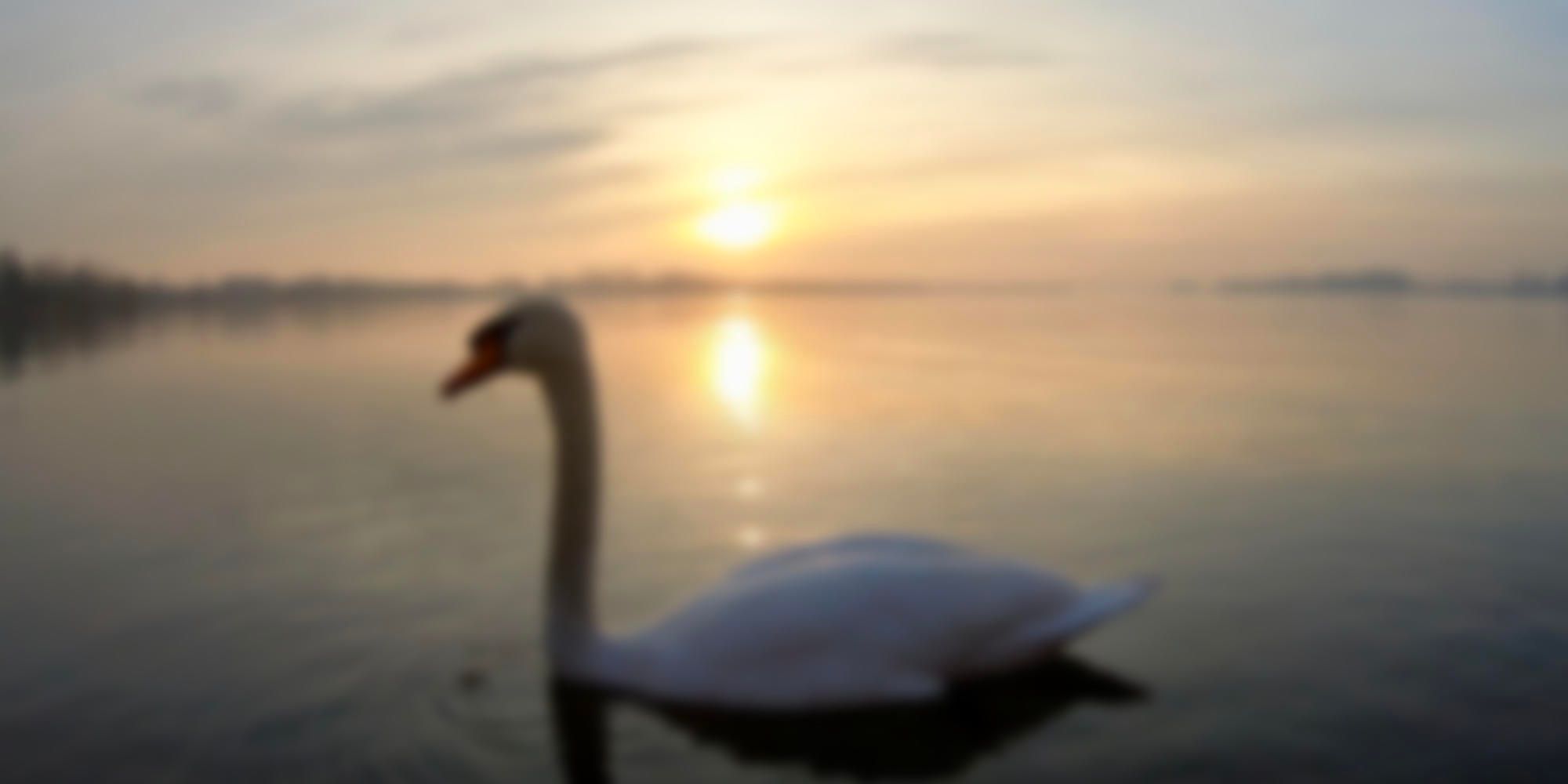 Stack Vue - alpha 1.0.0