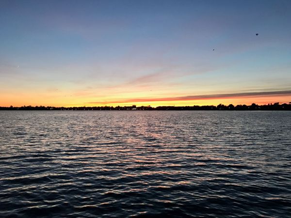 Swift Dark / ​Light mode