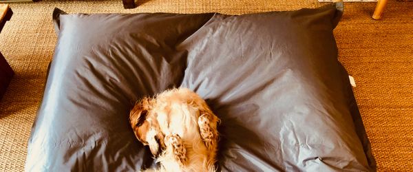 Rancher 2: Node & Vue on Kubernetes, Docker self-hosted CaaS